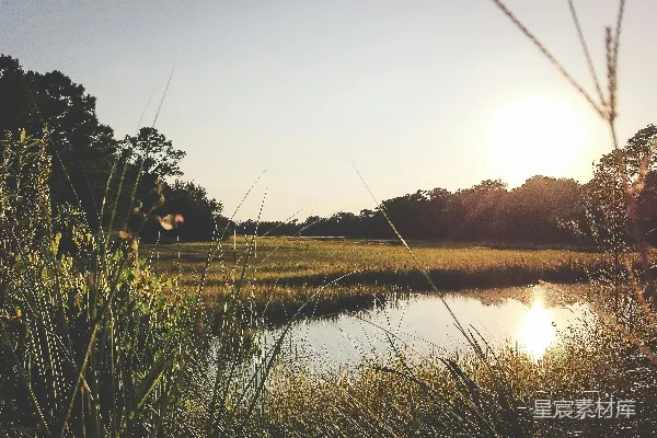 高清摄影 夕阳下的湿地