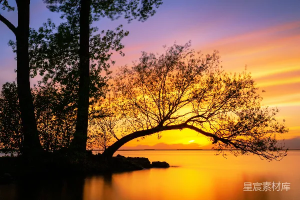 高清摄影 夕阳下的静谧湖岸