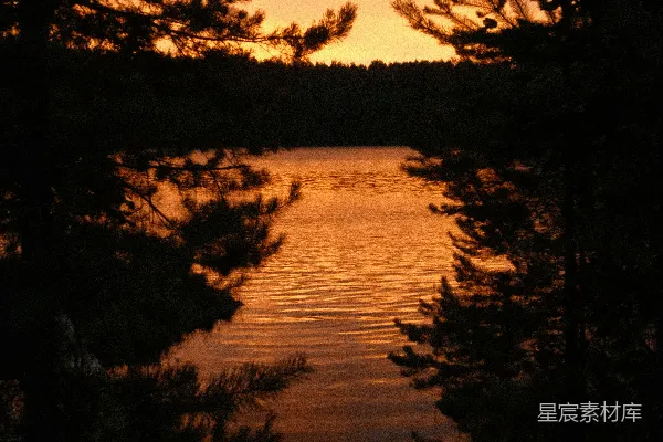 高清摄影 夕阳下的宁静湖景