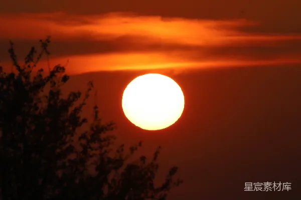 高清摄影 夕阳下的剪影