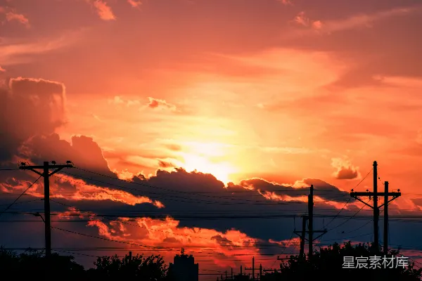 高清摄影 夕阳下的电线杆