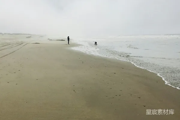 高清摄影 雾蒙蒙的海滩散步