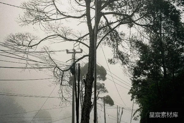 高清摄影 雨后山间小路