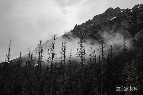 高清摄影 雾中森林与山峰