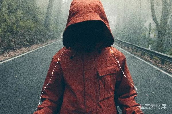高清摄影 雾中独行者
