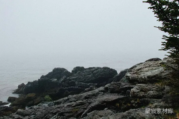 高清摄影 雾中的岩石海岸