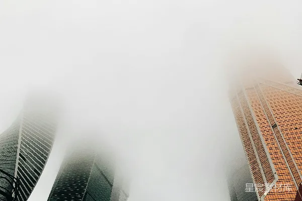 高清摄影 雾中摩天大楼