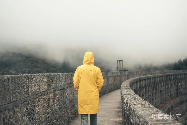 高清摄影 雾中独行者