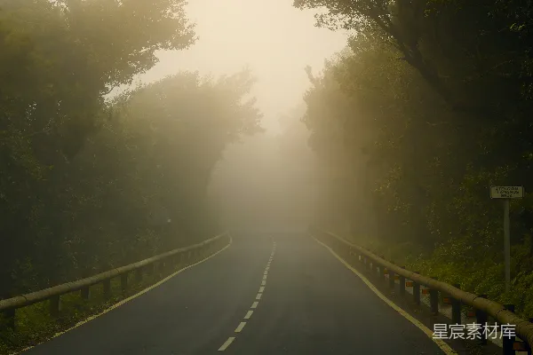 高清摄影 雾中的森林公路