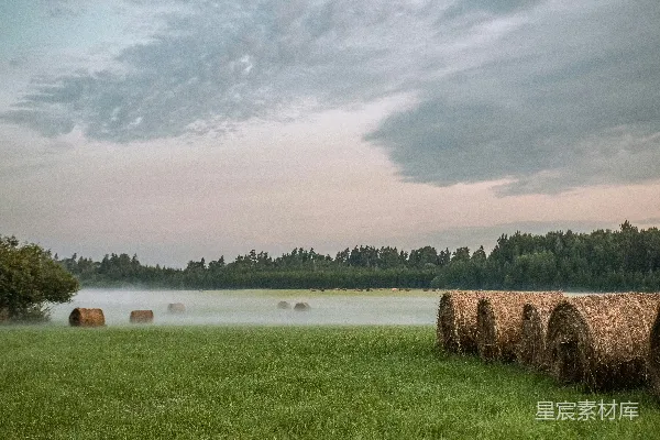 高清摄影 雾中的干草捆