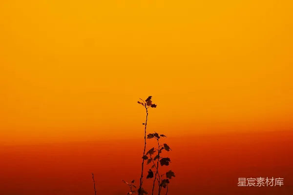 高清摄影 夕阳下的剪影