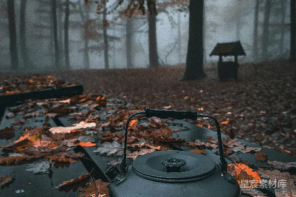 高清摄影 雾中静谧的茶壶