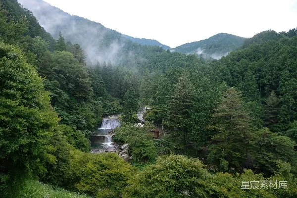 高清摄影 云雾缭绕的森林小溪