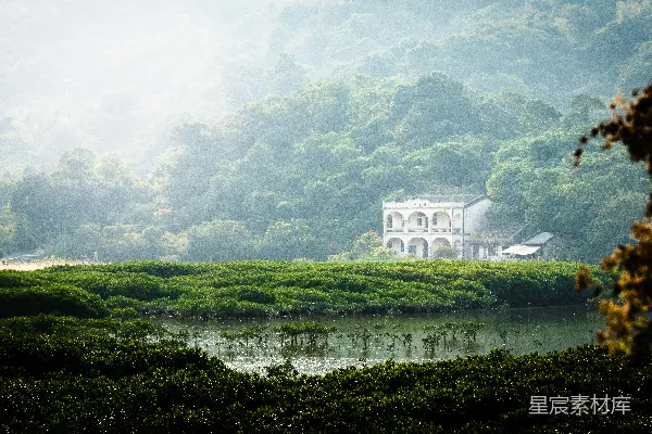 高清摄影 雨中的宁静小屋
