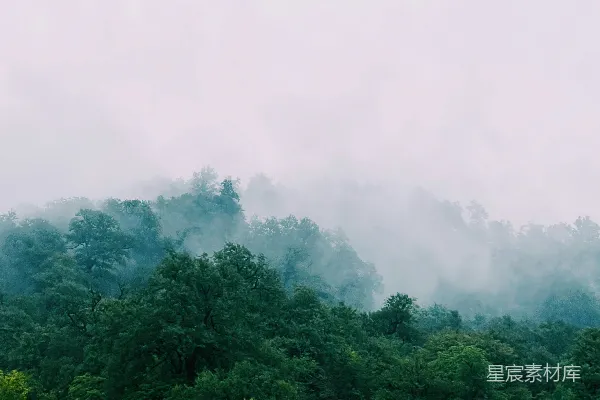 高清摄影 雾中森林