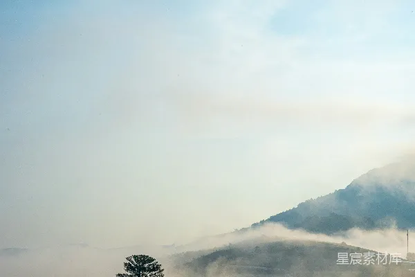 高清摄影 晨雾中的湖边独树