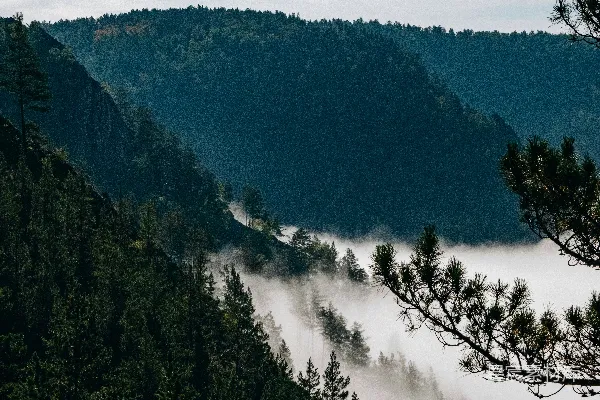 高清摄影 山间云雾缭绕