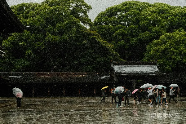 高清摄影 雨中的神社