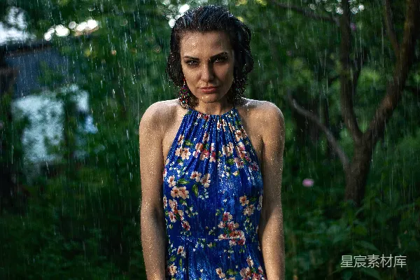 高清摄影 雨中花影