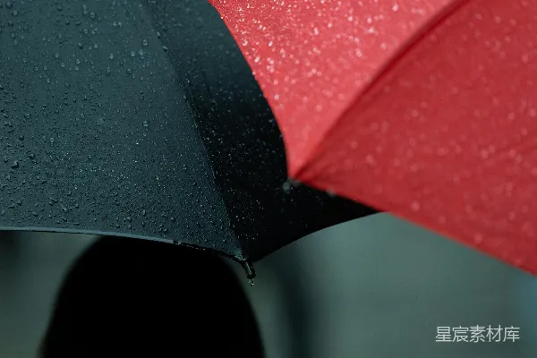 高清摄影 雨中同行