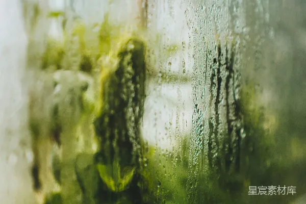 高清摄影 雨后窗外的绿意