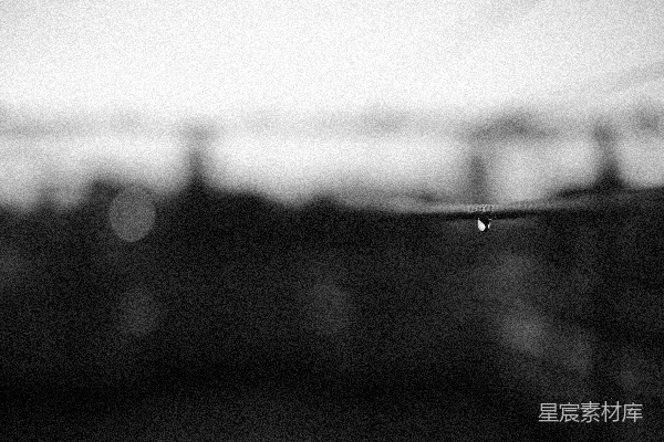 高清摄影 雨后余晖中的吊绳与水滴