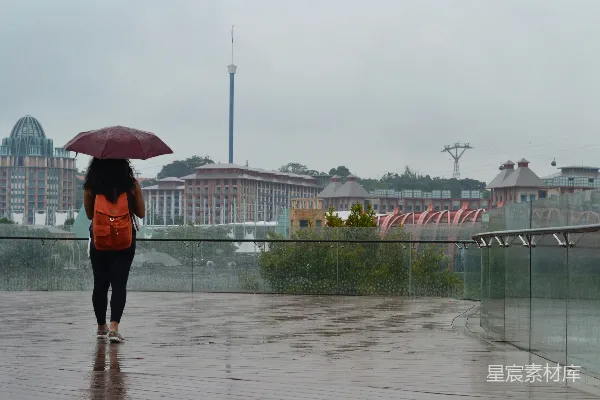 高清摄影 雨中漫步