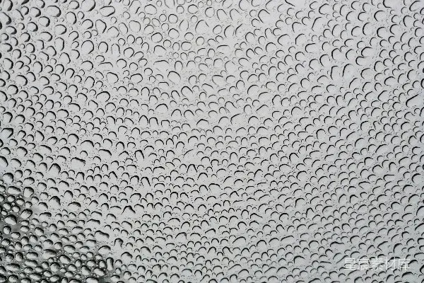 高清摄影 雨滴的纹理