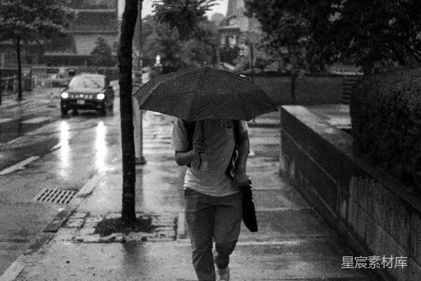 高清摄影 雨中漫步
