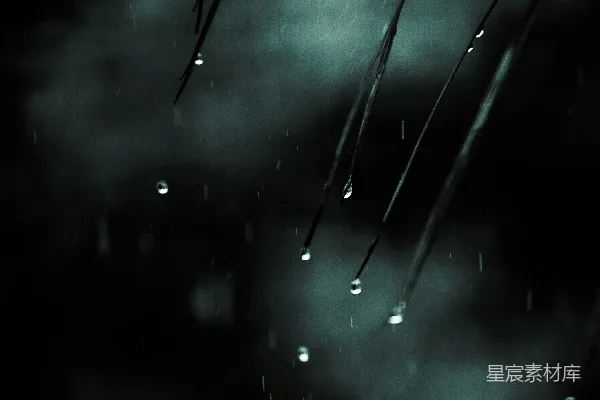 高清摄影 雨夜的草尖