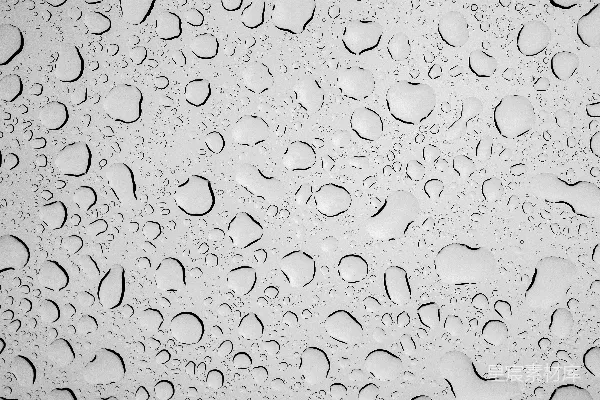 高清摄影 雨滴的纹理