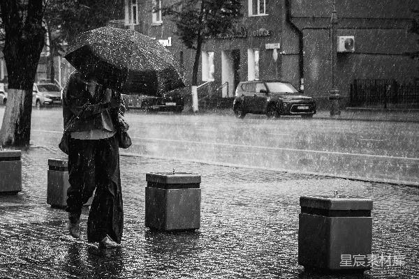 高清摄影 雨中漫步