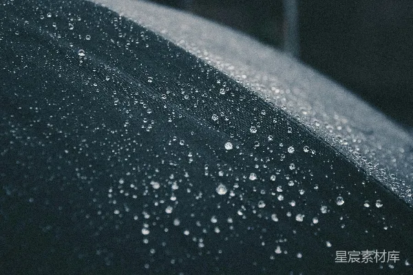 高清摄影 雨后的静谧