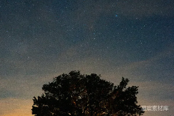 高清摄影 夜空下的孤树