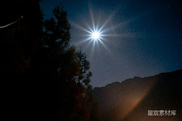 高清摄影 夜空下的星芒