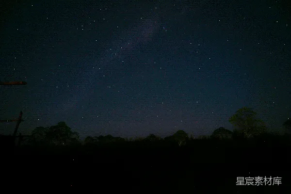 高清摄影 夜晚的星空与树影