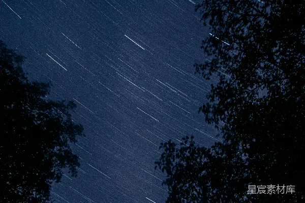 高清摄影 星轨夜空下的树影