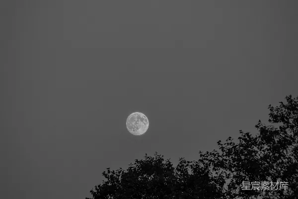 高清摄影 静谧的月夜