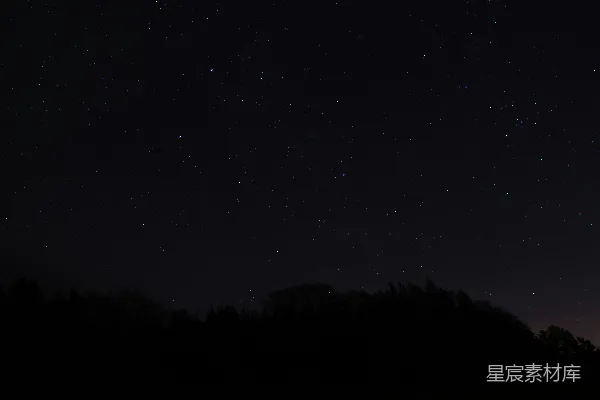 高清摄影 星夜下的森林剪影