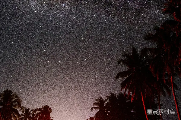高清摄影 夜空下的椰林与星空