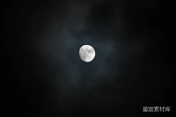 高清摄影 月光下的朦胧