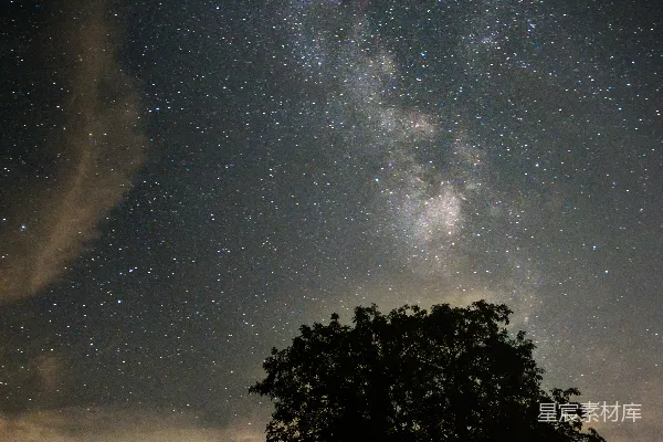 高清摄影 树下星空下的宁静夜晚