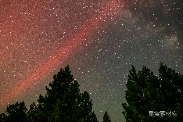 高清摄影 夜空下的松林与银河