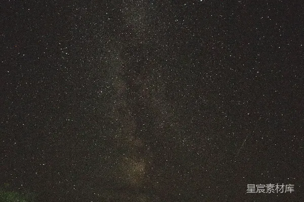 高清摄影 夜空下的草地