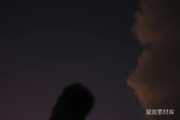 高清摄影 夜空下的剪影