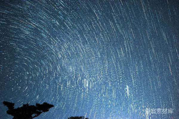 高清摄影 星空轨迹与夜幕下的树影