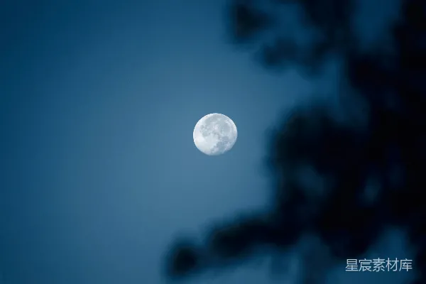 高清摄影 静谧夜空下的明月
