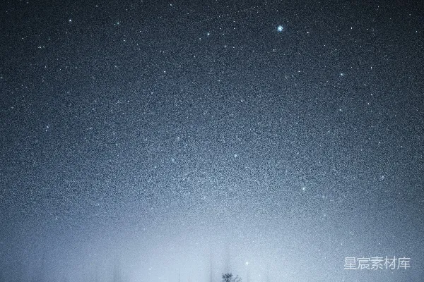 高清摄影 夜空下的森林