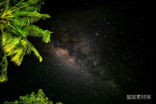 高清摄影 夜空下的星河与椰树