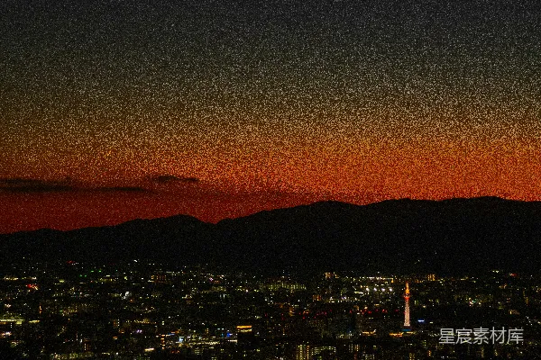 高清摄影 夜幕下的城市剪影